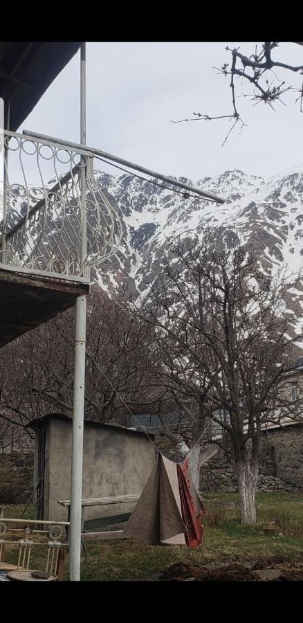 Guest House Dodo Kazbegi Bagian luar foto