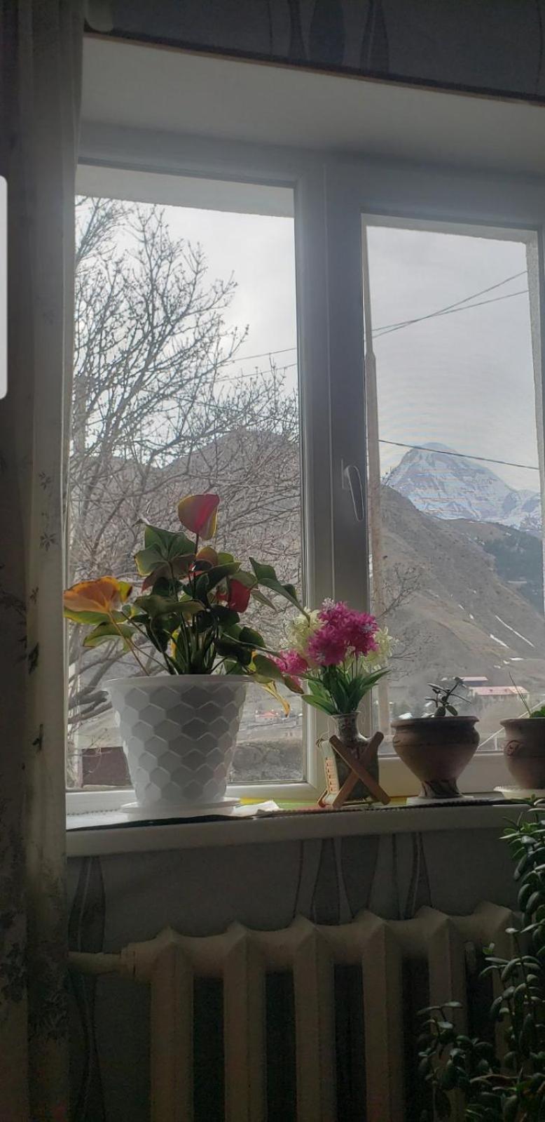 Guest House Dodo Kazbegi Ruang foto