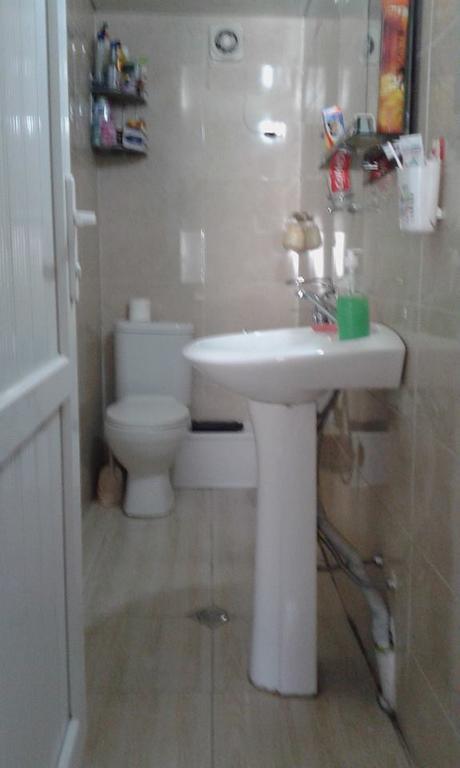 Guest House Dodo Kazbegi Bagian luar foto