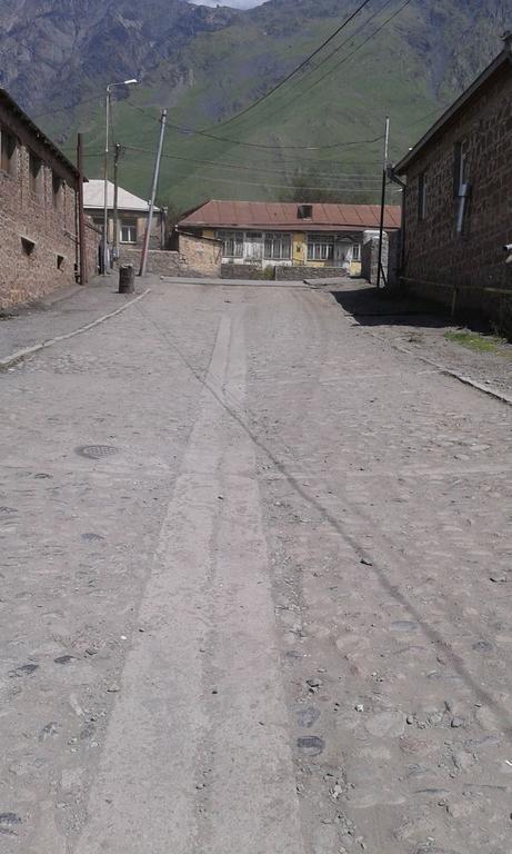 Guest House Dodo Kazbegi Bagian luar foto